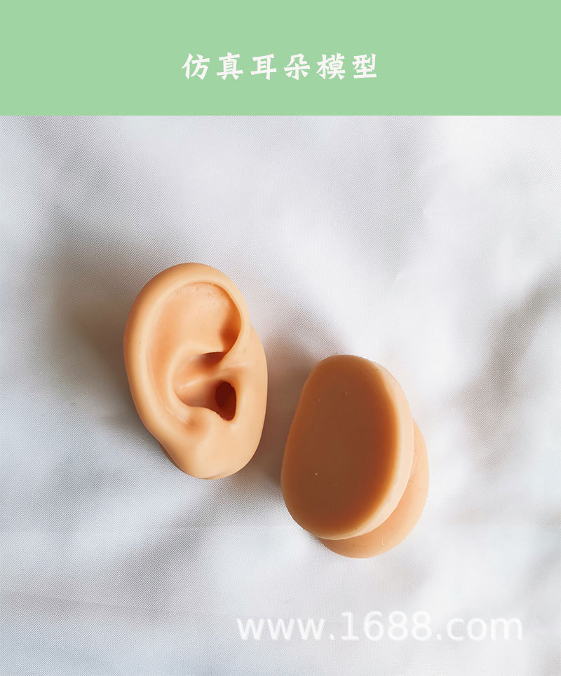 耳朵_01.jpg