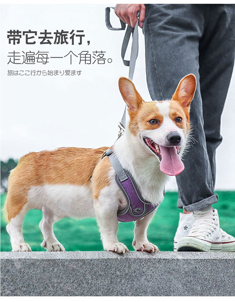 狗狗胸背带宠物用品新款中小型犬反光防挣脱背心式 狗狗牵引绳详情29