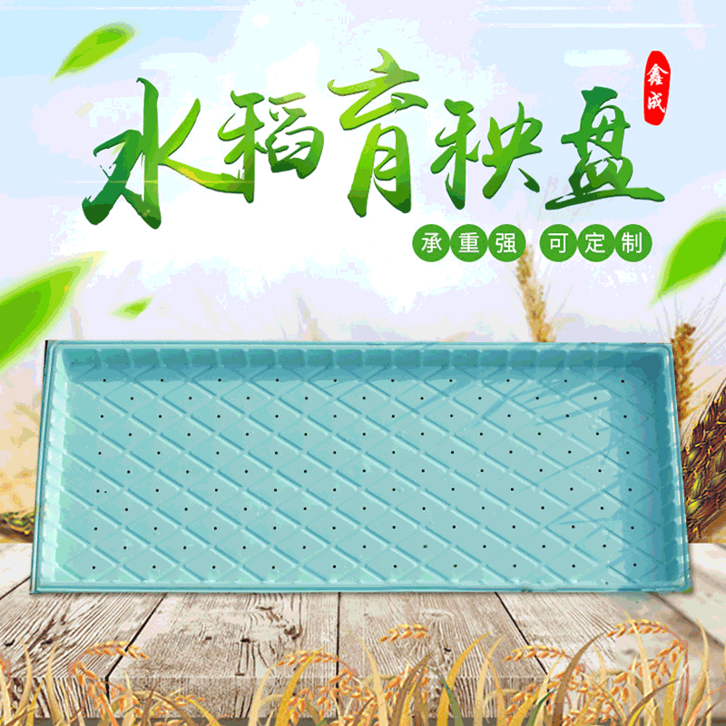 厂家供应 芽苗菜育苗盘蓝色长方形育苗盘平盘有孔盘盘菱形图案