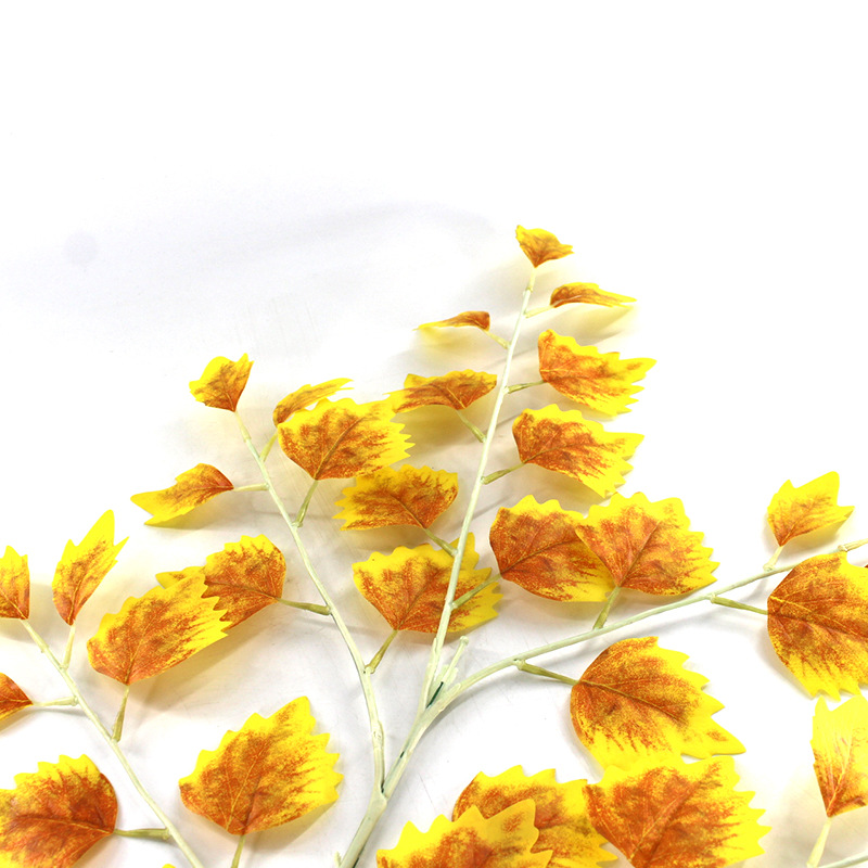 XRB-021 胡杨秋色1.jpg