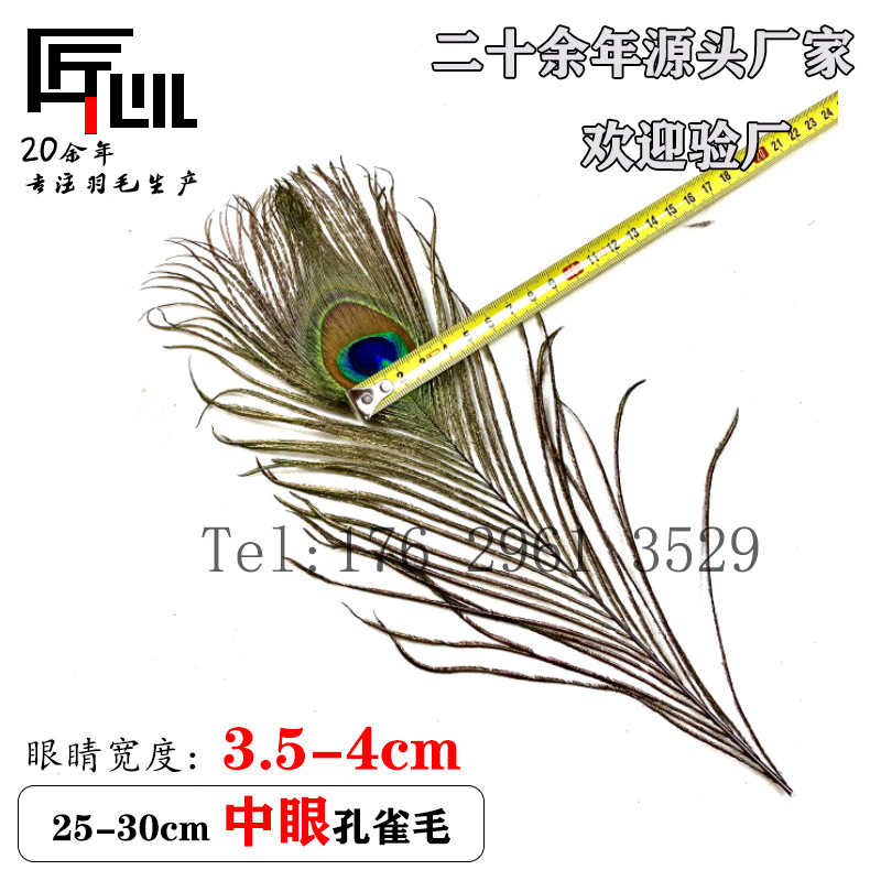 25-30cm 中眼孔雀毛