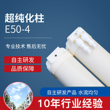 E50-4超純化柱離子交換柱廠家發貨供應 實驗室原水處理設備純化柱