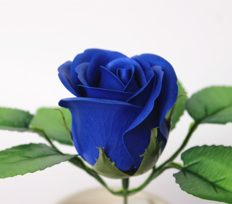 一键复制_20200227134217