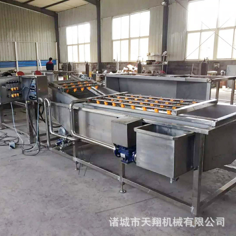 天翔供应 菠菜清洗机 汽浴清洗机蔬菜水果清洗机 果蔬清洗机