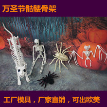 ��ʥ���������ùǼ�è������֩��ɻ���Ӱ�ɫ��������ѷ�¿�