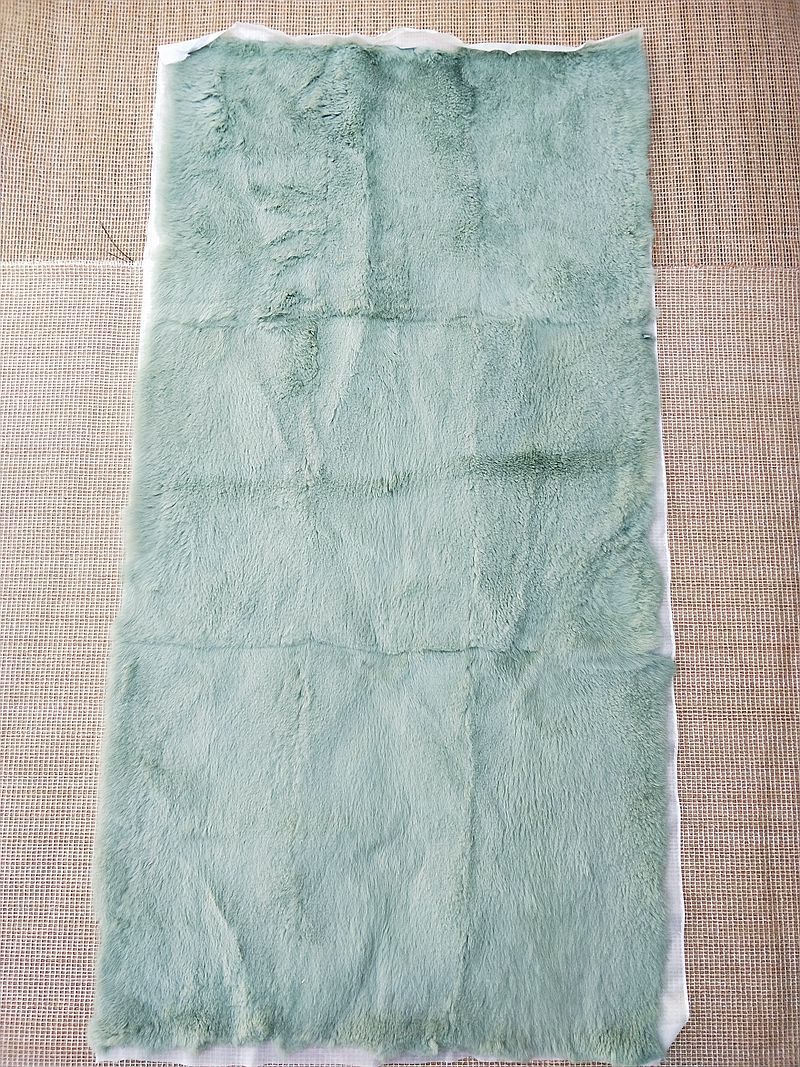 IMG20200514093400_副本.jpg