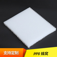 PP8蜂窝板 热塑性复合专用蜂窝板  高强度塑料蜂窝板 厂家直销
