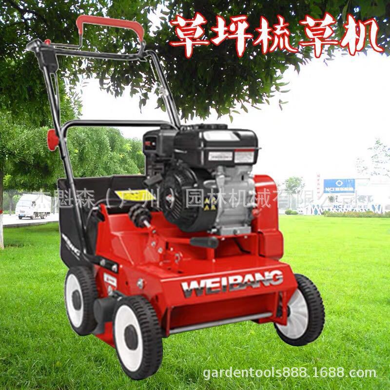 维邦WB384RB梳草机透气梳草刀梳理枯草园林梳草机自走式草坪机