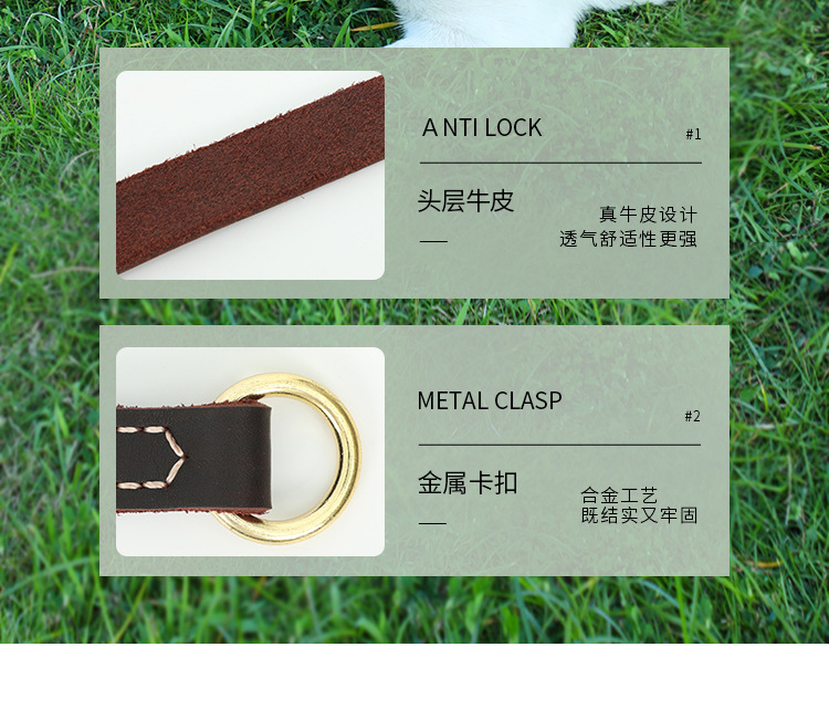 狗绳详情页_07.jpg