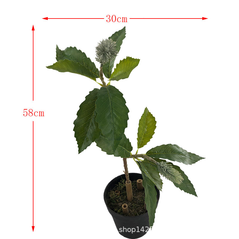 XRB-132 锯齿佛塔叶1.jpg