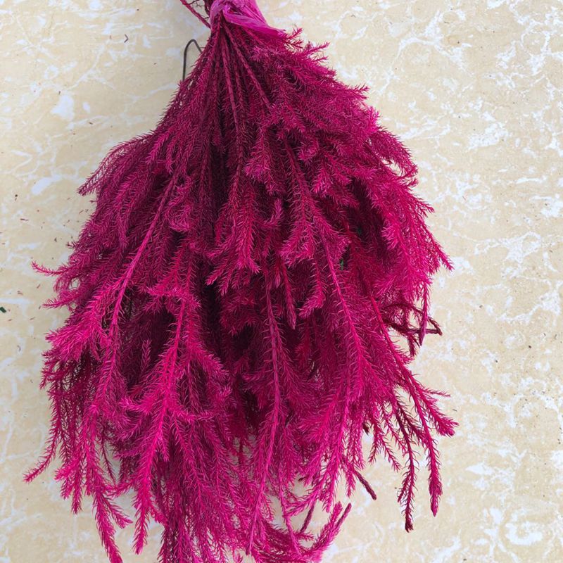 微信图片_20200221143014_副本