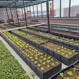 家庭菜园种植箱价格 最新家庭菜园种植箱价格 批发报价 价格大全 阿里巴巴