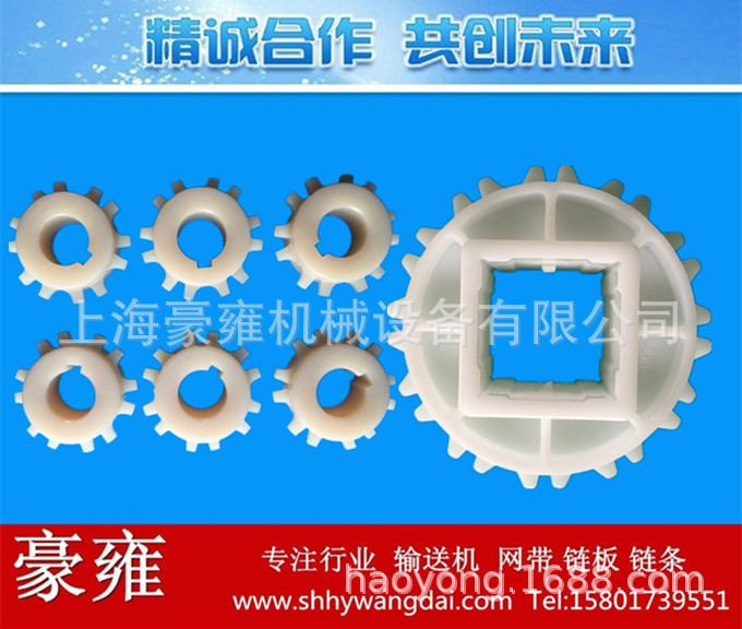 SS900塑料网带系列链轮注塑式16齿规格18齿规格 20齿规格
