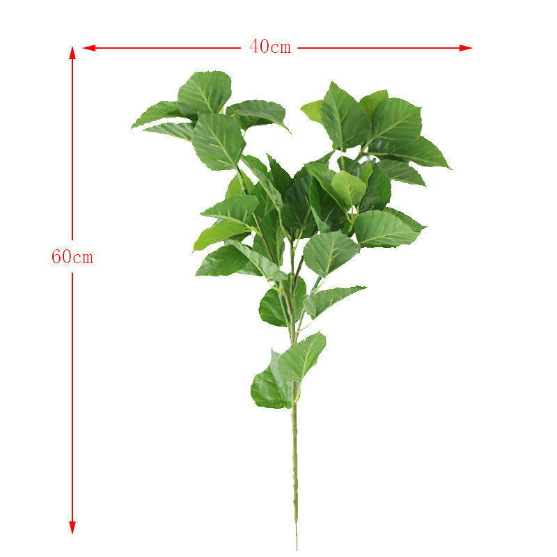 XRB-012苹果五叉枝叶子 (2).jpg