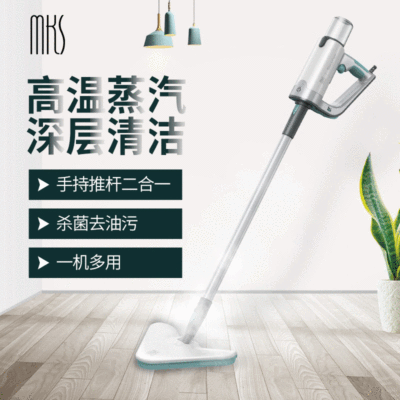 Manufactor Steam cleaners high pressure high temperature household electrical appliances multi-function disinfect An electric appliance Hood Oil pollution Cleaning machine