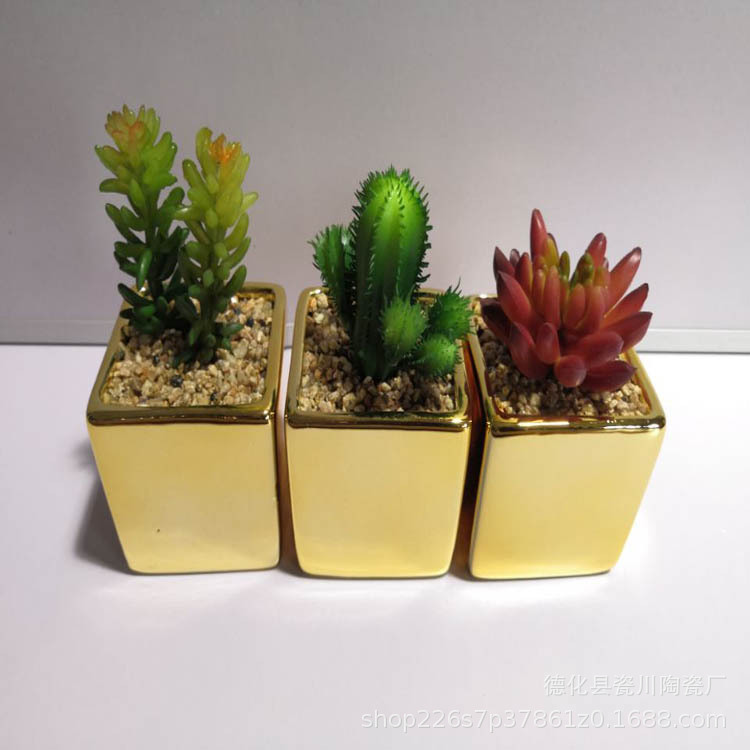 现代陶瓷工艺品多肉花盆家居摆设