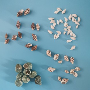 ��޹Ϟ�TDIY��Ȼ����ؐ�� ��Ϟ����ϞDIY�����b�Ʒ ����DIY