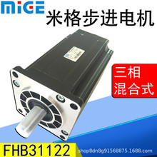 �����׸�������ʽ�������FHB31122(110BYG350D)20NM�������