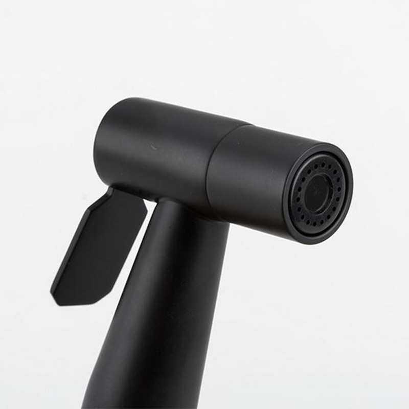 Cross-border manufacturer 304 stainless steel black baked paint spray gun for women's washers, black toilet spray gun set, toilet companion Specification drawing