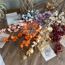 ���������m��ɫС�m�����l��c��ˇ���Sɫϵ��ɫ�����bҾ�