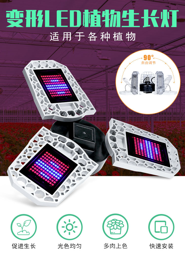 全光谱-植物灯-(阿里巴巴）（红蓝光）详情页_01.jpg