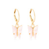 Fashionable brand small design earrings, trend advanced set, simple and elegant design