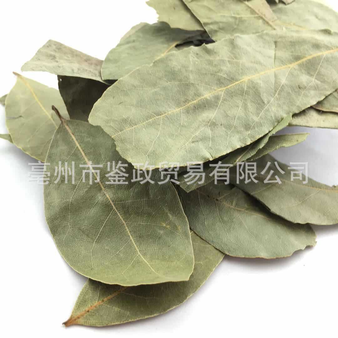 Dried Bay Leaves Xiang Ye 500g Aromatic Culinary Herb for Soups Stews and Hot Pot Seasoning quality and texture