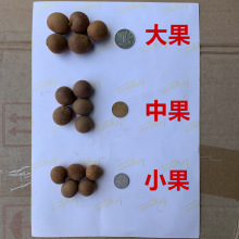 ���A�����۸�6A������Ƥ������С500g�ǟo�ˎ������AAA�ɹ��A