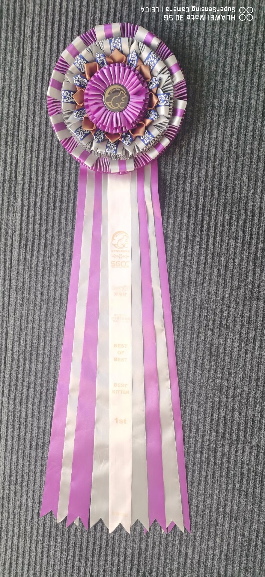 奖花宠物勋章pp袋独立包装 马口铁胸章赛事奖花丝带胸花徽章-阿里巴巴