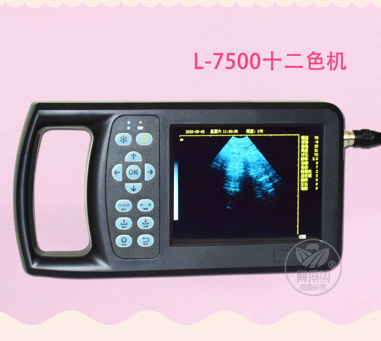 B超机B详情页 (10).jpg