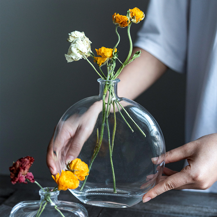 Simplicity new pattern Small mouth Glass vase modern Home Furnishing Soft loading Floral organ Decoration Illustration Containers technology ornament
