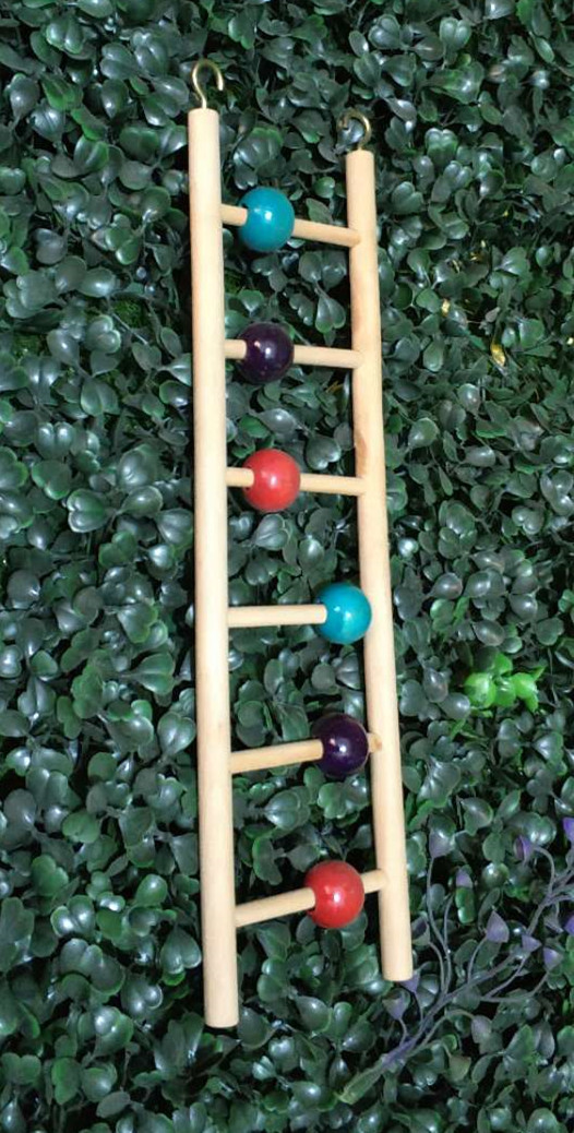 微信图片_20200913101537