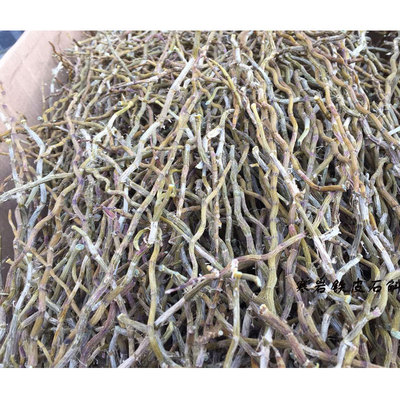 2020 Zhejiang Local Dendrobium Fengdou Long dry A roast Sturdy Local Breed