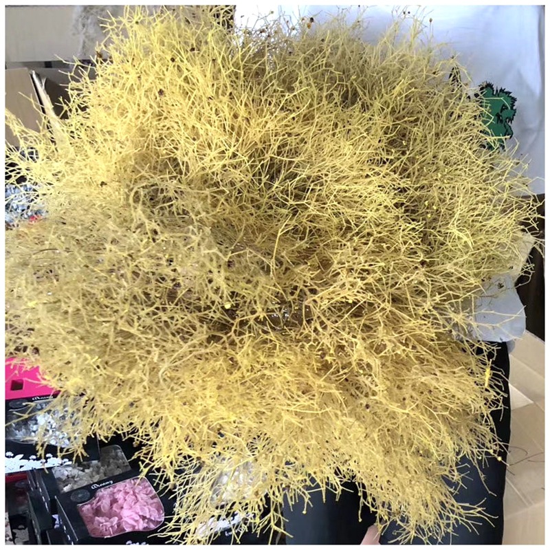 微信图片_20200527220213