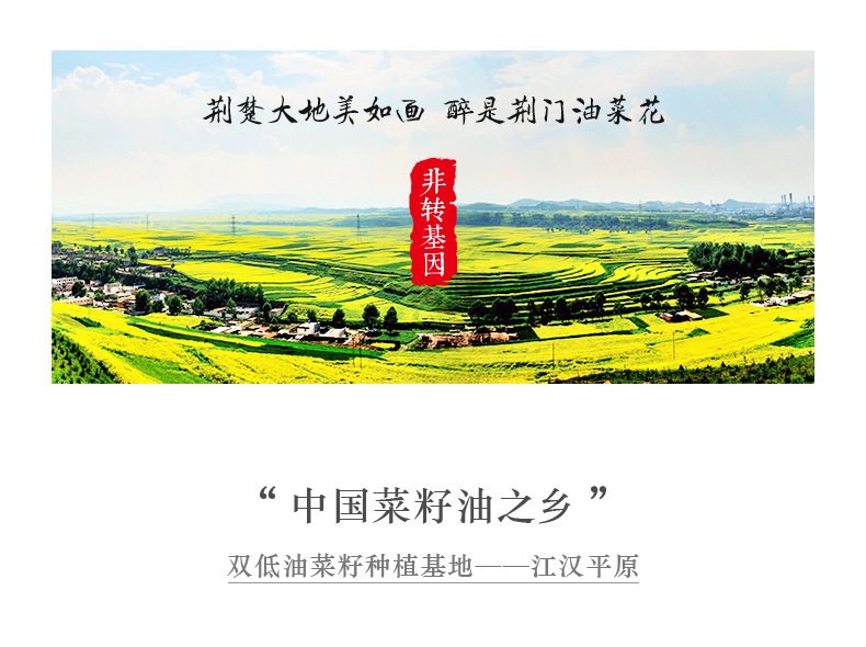 古法小榨菜籽油_06.jpg