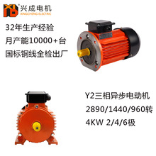 ̨����ʳƷ�CеAEEFϵ��4.0KW5.5�R������ʽB35���ஐ��늄әC