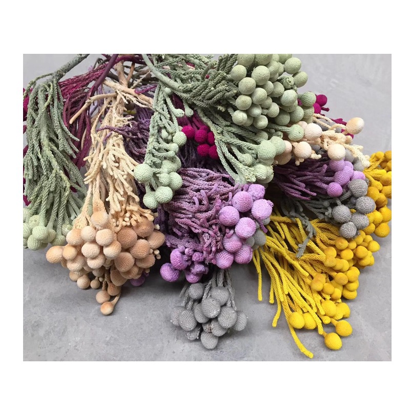 微信图片_20200410120414_副本