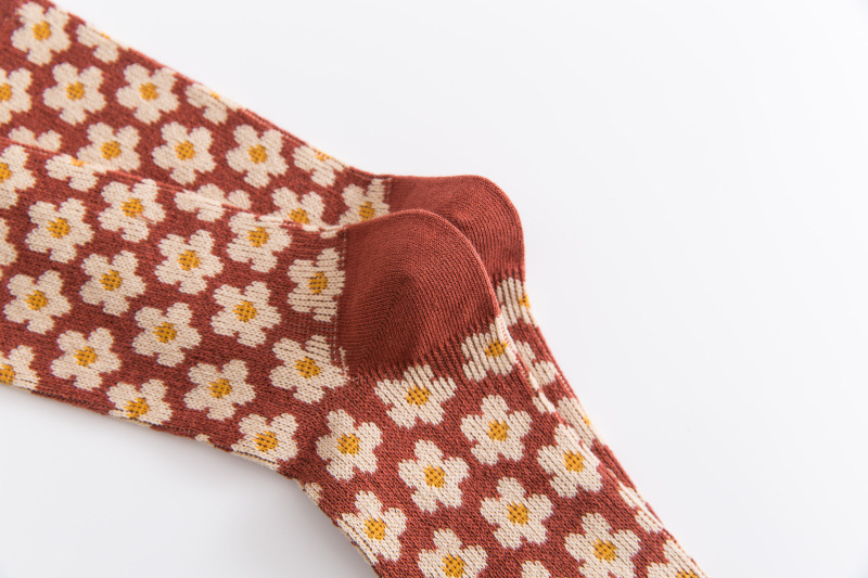 19209454003 502738861