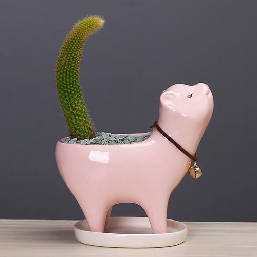 Supply cross-border gardening Amazon cat tail succulent cactus ceramic flowerpot cartoon cute personalized ornaments