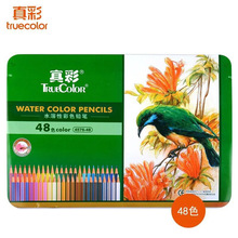 真彩36色鐵盒彩鉛大師級經典色兒童塗畫彩筆學生繪畫油性彩色鉛筆