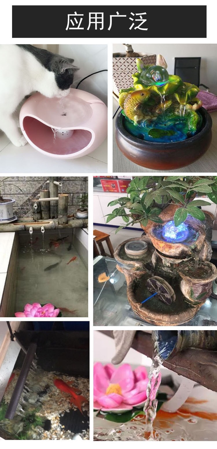 IMG_1029(20200624-104900)