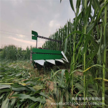 ���̈́������C ���Ͳ����͵������C ���C�r��