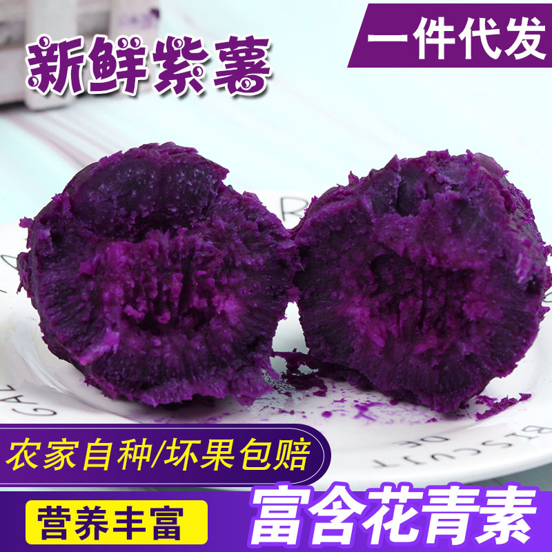 2020沙地現挖新鮮紫薯紅薯農家自種番薯無私粗糧蔬菜支持壹件代發
