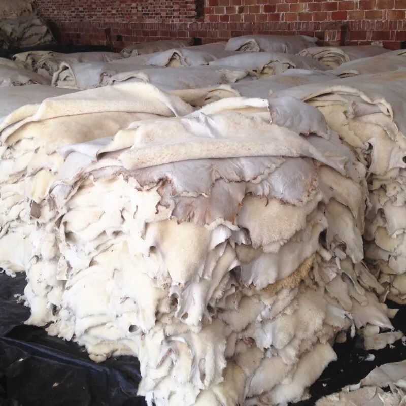 5BC94A20706632F64B9D4CEAA12B9E