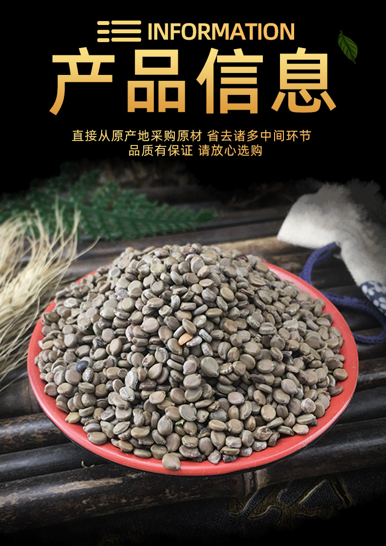 Cassia Occidentalis Seeds Wang Jiang Nan 望江南 Dried Folk Herb Bulk 500g specifications