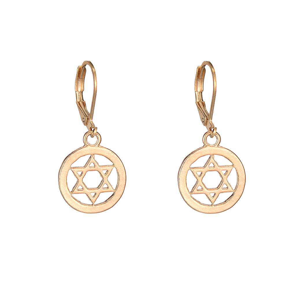 New Geometric Hexapointed Star Hollow Tree Of Life Palm Earring Wholesale display picture 5