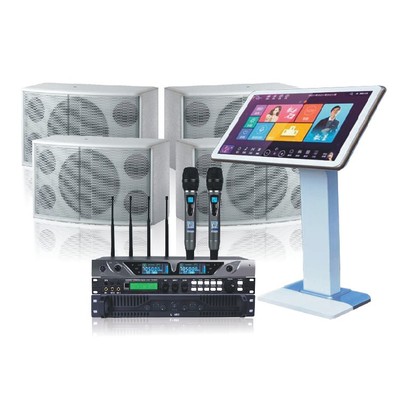 家庭KTV音响套装夜总会酒吧KTV家庭K歌点歌机音响套装十寸音响|ms