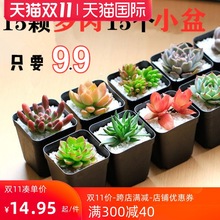 ����ֲ��M���ײ� �ҵ�  ˮ����¶  ��ϼ֮��  �t��ʯ���躬��