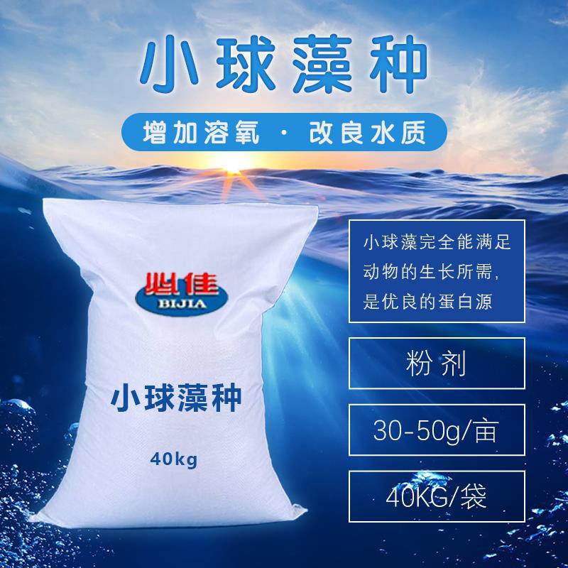 浓缩复合藻种 定向培育小球藻 平衡营养 稳定藻相 控制有害藻