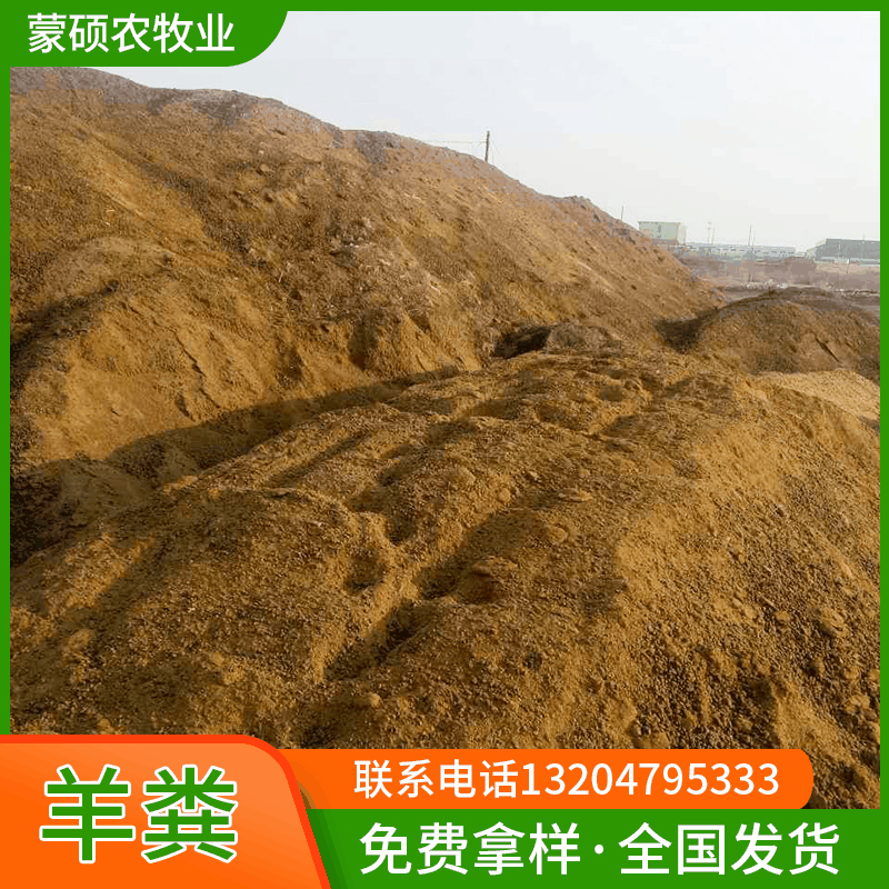 批发内蒙古干羊粪 铁皮石斛肥料 羊屎蛋 扫圈羊粪厂家销售